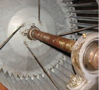 �L�C���͟��ܵ���ϴ��(n��i)��